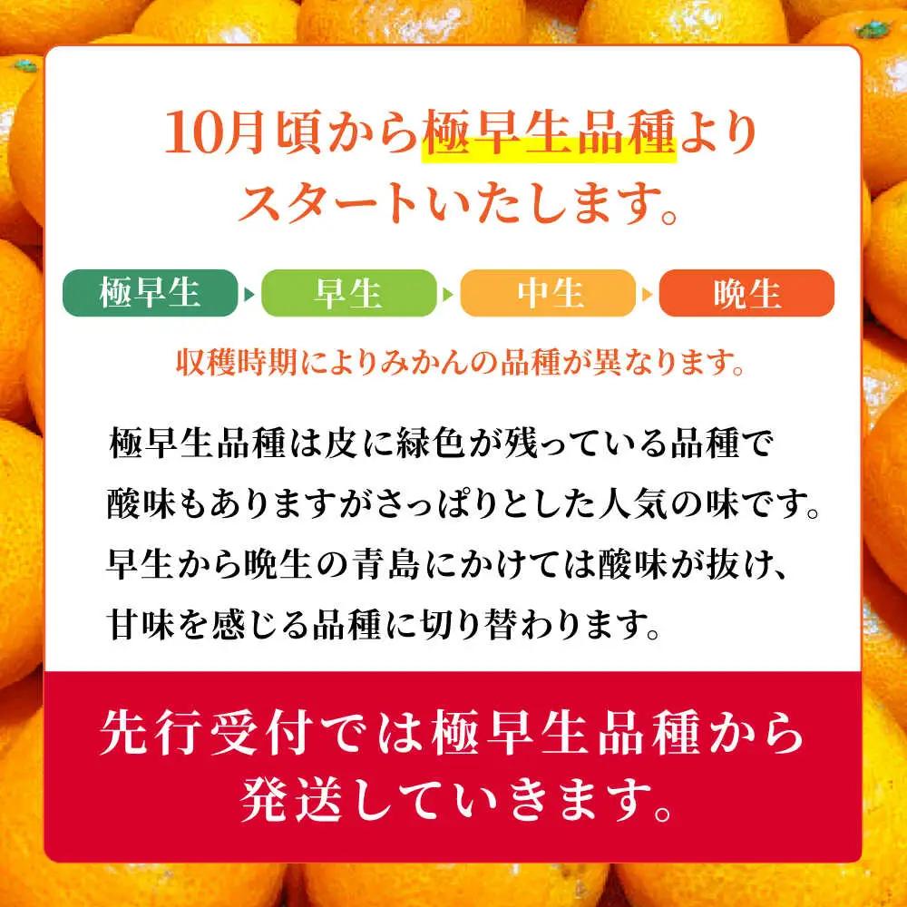 先行予約 訳あり家庭用温州みかん 約9.4kg～10kg ミカン蜜柑 ZCN015
