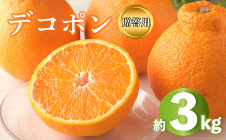デコポン 不知火 約3kg 2026年 先行予約  秀品 化粧箱入り デコポン デコポン デコポン