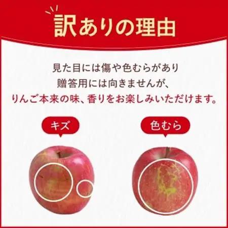 【先行受付】長野県産 サンふじ りんご 家庭用 訳あり 8kg(18～32玉)【1449697】