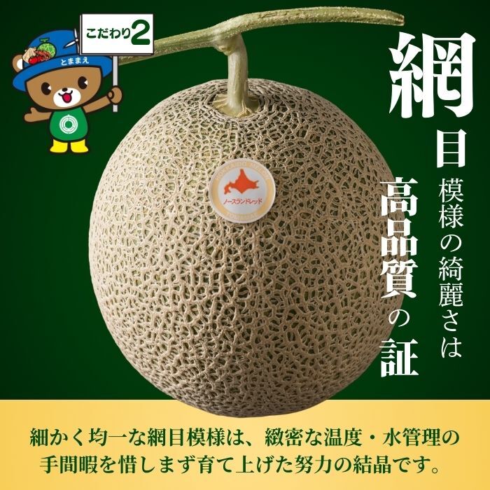【2026年7月中旬から発送】とままえメロン 2玉 計3.2kg前後 大玉サイズ 北海道産 先行 予約 受付 赤肉 甘い 糖度14度 旬 産地直送 めろん フルーツ 果物 デザート 北海道 苫前町 と