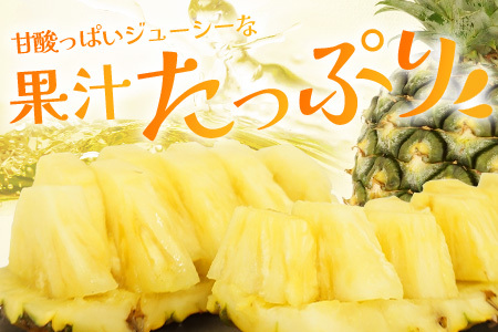 石垣島産 ハワイ種パイン 3～4玉セット 約4.2㎏【 産地直送 石垣島産 石垣 完熟 パイン パイナップル 】TD-7