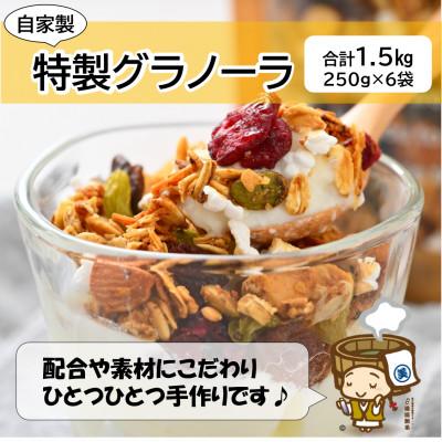 ふるさと納税 あわら市 自家製 フルーツグラノーラ 250g×6袋(計1.5kg)《配合や素材にこだわり1つ1つ手作り!》