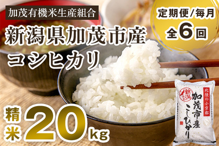 【令和7年産】【定期便6ヶ月毎月お届け】新潟県加茂市産コシヒカリ 精米20kg（5kg×4）《順次出荷》 白米 （株）ライスグローワーズ