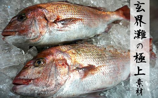 玄界灘でとれた極上の鯛を使用。
豊かな漁場から新鮮で活きの良い魚を仕入れております。