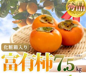 和歌山秋の味覚　富有柿　約７．５ｋｇ「2024年11月上旬以降発送予定」　かつらぎ町産