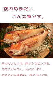 萩あまだいの味噌漬け