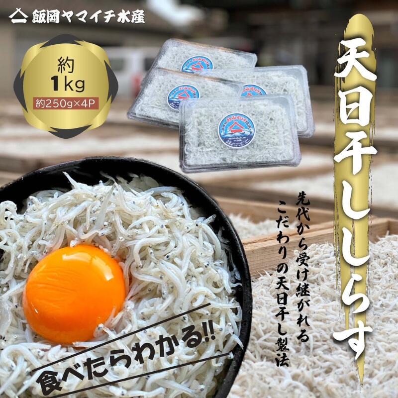 【ふるさと納税】 天日干ししらす1kg (250gx4P) 国産 九十九里産 自慢の天日干し しらす 天日干し 白子 水産 魚介類 無添加 魚介 海の幸 海 魚 贈答 ギフト プレゼント 贈答 記念日 お祝い おすすめ 送料無料 飯岡ヤマイチ水産-大納屋- 千葉県 旭市