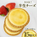 【ふるさと納税】半生チーズ　15個入 | チーズケーキ スイーツ 洋菓子 贈答用 お取り寄せ 誕生日 記念日 お土産 内祝い 出産祝い 美味しい 甘い 濃厚 とろける 幸せ 人気 栃木県 真岡市 送料無料