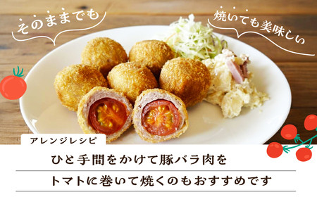 先行予約（2026年8月上旬頃から順次発送）ミニトマト（キャロルポポ） 1kg 【27-9】