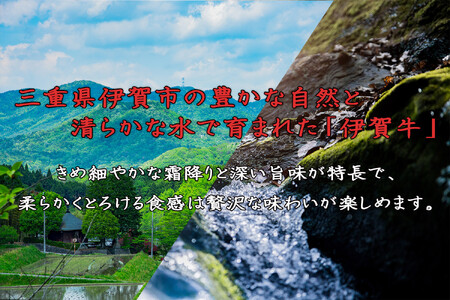 伊賀牛 上カルビ焼肉 約500ｇ