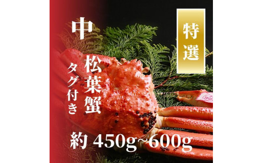 
                  【特選】松葉ガニ 中サイズ 約450g～600g タグ付(茹で)
                