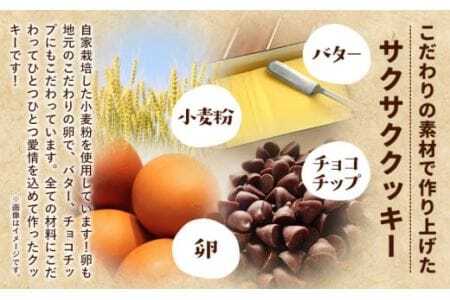クッキーの詰め合わせ 選べる 内容量 12個入り お菓子