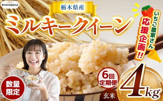 【栃木県共通返礼品】【先行予約】【定期6回】 訳あり 数量 限定 定期便 令和8年度産 ミルキークイーン 約 4kg | とちぎの星 ミルキークイーン お米 kome okome ご飯 米 玄米 白米 ごはん おいしい ふるさと納税 那珂川町 栃木県 送料無料