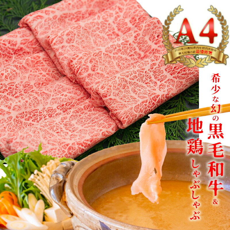 【ふるさと納税】国産黒毛和牛 大川黒牛 ロース しゃぶしゃぶ用 スライス A4（300g×2）＆はちきん地鶏 むね肉 しゃぶしゃぶ用（400g）セット 計1kg 国産 黒毛和牛 A4 ロース 牛肉 地鶏 ムネ肉 鶏肉 高知県 大川村 F6R-025