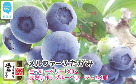 【先行予約】【期間限定】 旬にお届け 完熟生ブルーベリー 1300g 完熟手作りブルーベリージャム 4瓶 セット メルファーふたがみ エコえひめ認証  【寄附受付：8月10日まで】