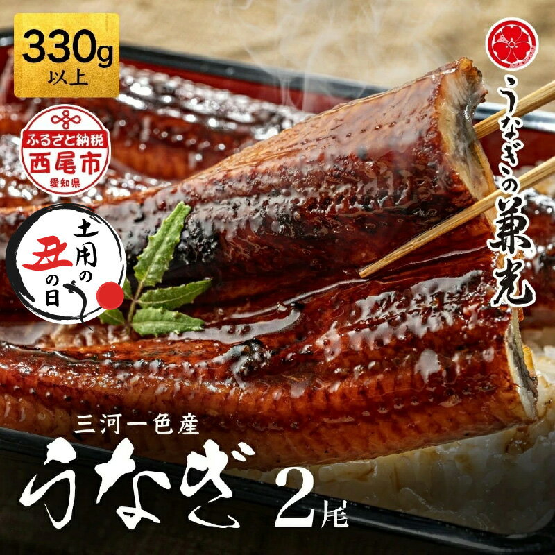 うなぎ 西尾 三河 一色産 ≪7月20日までの入金で、丑の日に間に合う！≫ うなぎ 蒲焼【大サイズ2尾 (計2尾 330g以上)】U023【冷凍便】うなぎの兼光 蒲焼き 惣菜 国産うなぎ ウナギ 鰻 愛知県産 西尾市産 西尾一色産 タレ付き たれセット かば焼き MB