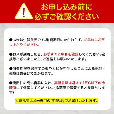 ふるさと納税 五所川原市 米 10kg はれわたり 令和7年産 青森県産  ( 精米 5kg ×2) 特A |  | 02