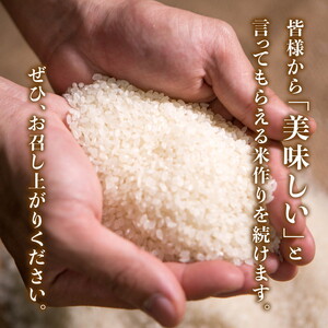 【R7年産新米】愛媛県産 コシヒカリ 10kg ｜ ご飯 白米 お米 令和7年産 5kg 10kg 20kg 精米済み ※2025年10月上旬～12月下旬頃に順次発送予定 ※離島への配送不可