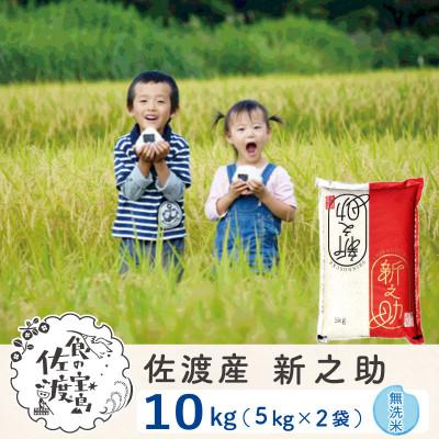ふるさと納税 佐渡市 【新米予約】佐渡島産新之助 無洗米10Kg(5Kg×2袋) 令和7年
