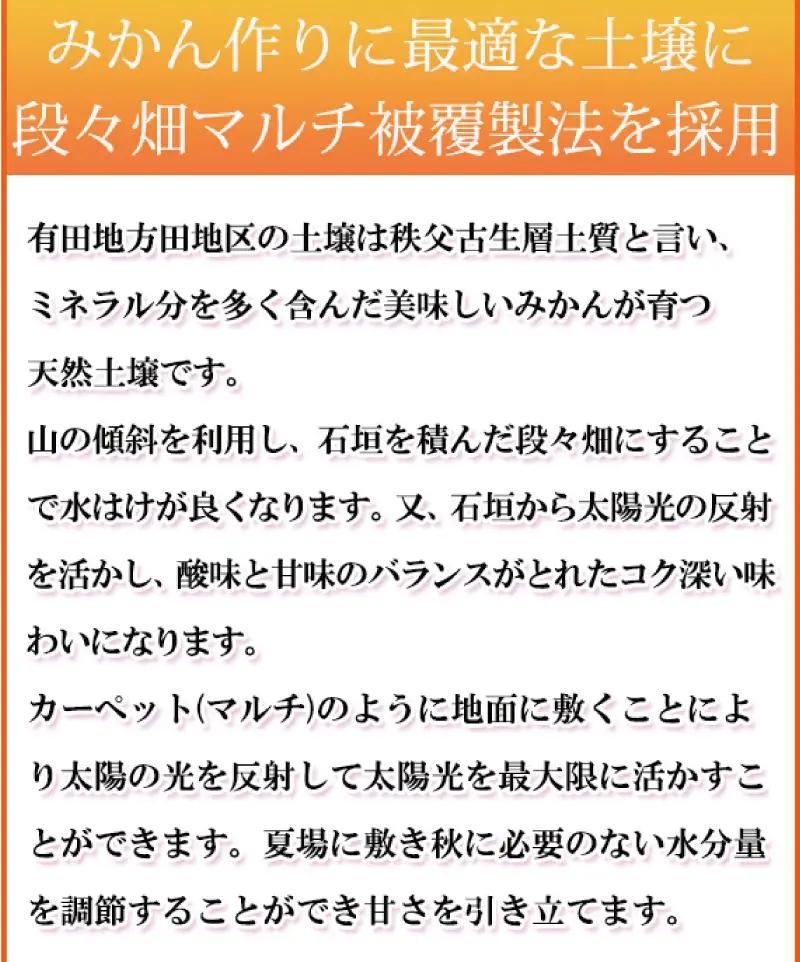 【ご家庭用訳あり】田村みかん　5kg ※2026年11月下旬～2027年1月下旬頃に発送（お届け日指定不可）（お届け日指定不可）訳ありみかん 温州みかん【uot754A】