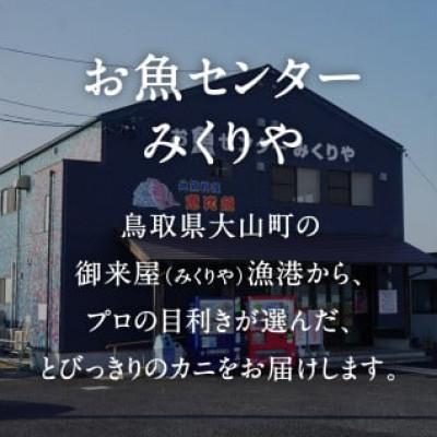 ふるさと納税 日南町 OM26【早期先行予約】ブランドタグ付高級生松葉ガニ(約1kgを1枚) |  | 01