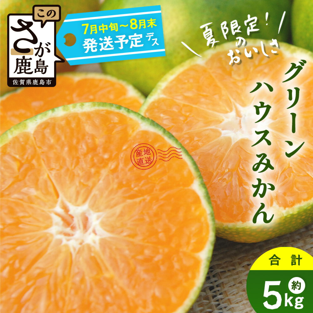 【ふるさと納税】【先行予約】 グリーンハウスみかん　5kgみかん 蜜柑 ミカン ハウスみかん フルーツ 果物 くだもの 果実 冷蔵 フレッシュ 美味しい 人気 ビタミンC 健康 甘み 酸味 完熟 佐賀県 鹿島市 送料無料【2025年7月中旬〜8月末まで発送予定】C-2