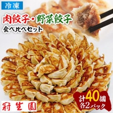 「冠生園」の食べ比べ餃子セット(冷凍　肉・野菜餃子)40個(10個入×各2パック)