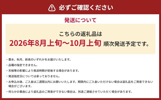 【2026年8月上旬～10月上旬発送予定】旬の梨 品種おまかせ 6～18玉 約5kg（豊水、秋月、新高のいずれか）