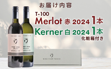 24-07T100 ワイン720ml×2本セット【ワインファームとちお】