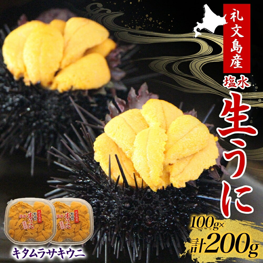 北海道 礼文島産 無添加 ムラサキウニ 塩水 生ウニ 100g×2　【 魚貝類 ウニ 雲丹 キタムラサキウニ ムラサキウニ 生ウニ 塩水ウニ 北海道産 200g 】　お届け：2023年5月上旬〜6月中旬、8月中旬〜9月8日頃まで