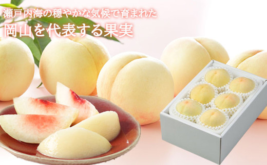 岡山白桃 エース 4～6玉 約1kg 岡山県産