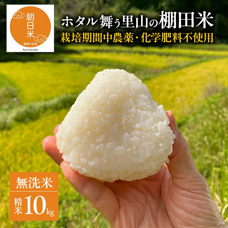 【ふるさと納税】先行受付 農薬不使用 無洗米 ホタル舞う里山の棚田米 精米10kg 令和8年産 朝日2kg×5袋　お届け：2026年10月20日～2027年4月14日