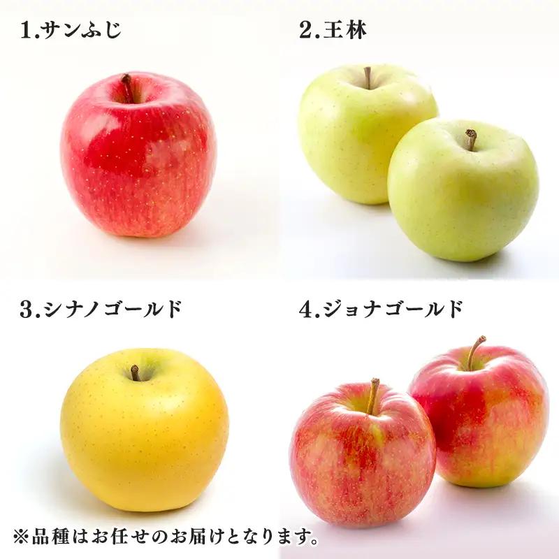 【特に訳あり】 藤崎町産 りんご 約5kg 【ふじさき季の会】 青森りんご リンゴ 林檎 アップル ふじ発祥の地 おすすめ 東北 青森県 藤崎町  F41-0128