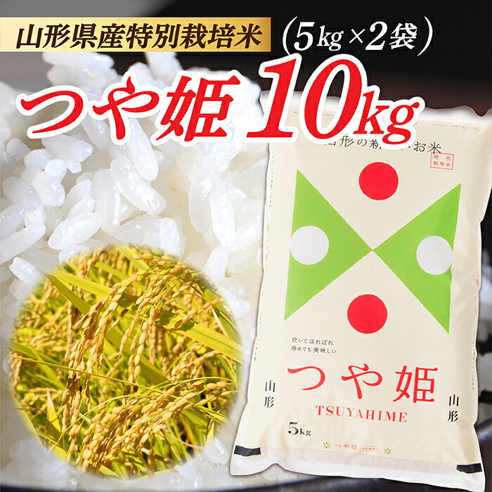 【ふるさと納税】令和7年産 山形県産 特別栽培米 つや姫10kg (5kg×2袋)