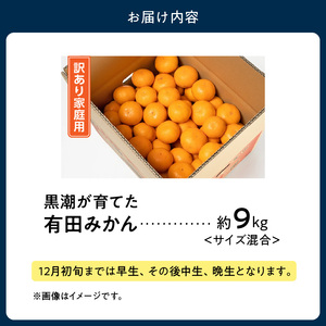 AE6111_黒潮が育てた有田みかん約9kg（サイズ混合）(訳あり　家庭用）
