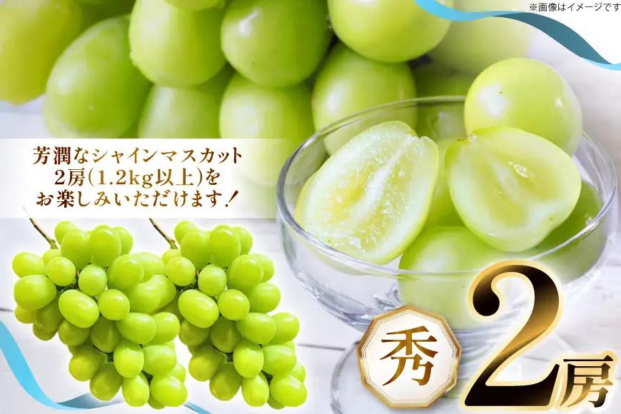 【期間限定発送】 シャインマスカット 秀 2房 1.2kg 以上 シャインマスカット