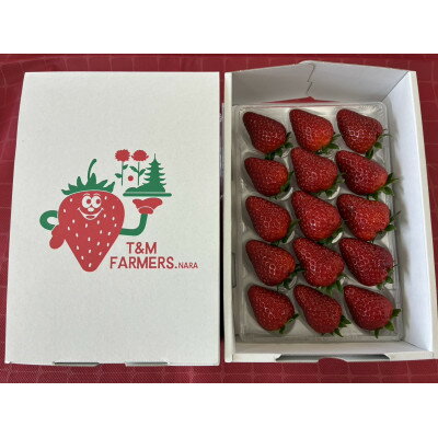 【ふるさと納税】いちご　古都華・ことか 1パック(8～15粒入り)【配送不可地域：離島・北海道・沖縄県・東北】【1605677】