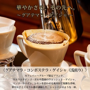 0025-59-01 【カフェバッハグループ限定】豆・グアテマラ・ゲイシャ（浅煎り）｜赤富士珈琲｜利き珈琲チャンピオン厳選
