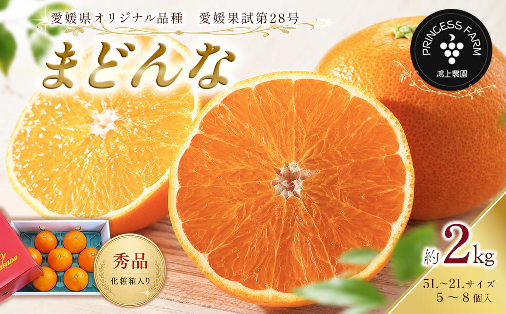 
                  まどんな （愛媛果試第28号） 約2㎏ 秀品 化粧箱 お任せサイズ（2L～5L）5～8個入　愛媛県西条市 【11月下旬～1月上旬頃発送】 【先行予約】｜ まどんな Madonna 愛果28 愛媛 みかん あいか あいか28号 紅まどんな と同品種 産地直送 柑橘 果物 贈答 くだもの フルーツ 数量限定 愛媛県 西条市
                