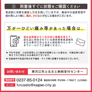 令和6年産 洋梨「ラ・ネージュ」 2kg（5～10玉） 秀品以上 《化粧箱入り》 サイズおまかせ 山形産 2024年産 【2024年11月下旬頃～12月下旬頃発送予定】　012-B-AF006