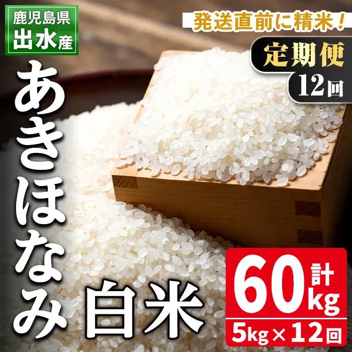 【12回定期便】白米 精米 あきほなみ 5kg 米【田上商店】i650