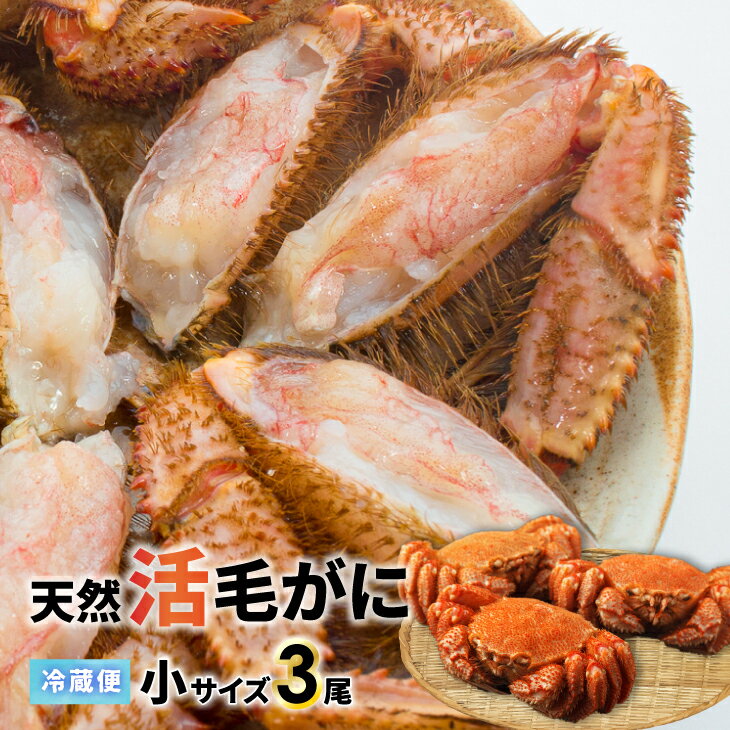 【ふるさと納税】【今が旬！】漁協の活毛がに 小サイズ3尾セット※日付指定対応不可※[02-1206]※離島・沖縄県発送不可※ 北海道 浦河町 ふるさと納税 北海道産 北海道日高産 極寒 活毛がに 毛ガニ カニ 小サイズ 3尾 送料無料