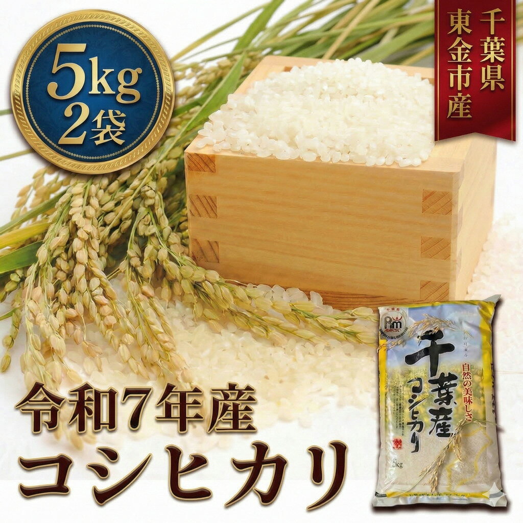 【ふるさと納税】 令和7年産 コシヒカリ5kg×2袋 米 お米 こめ コメ こしひかり 千葉県産 kome okome 精米 白米 ご飯 ごはん 米 ごはん 備蓄米 国産 炊飯 ※ ブランド米 甘い ツヤ ギフト 贈答 甘み 粘り 香り リピート kosihikari 農家直送 産地直送 前嶋商店 千葉県 東金