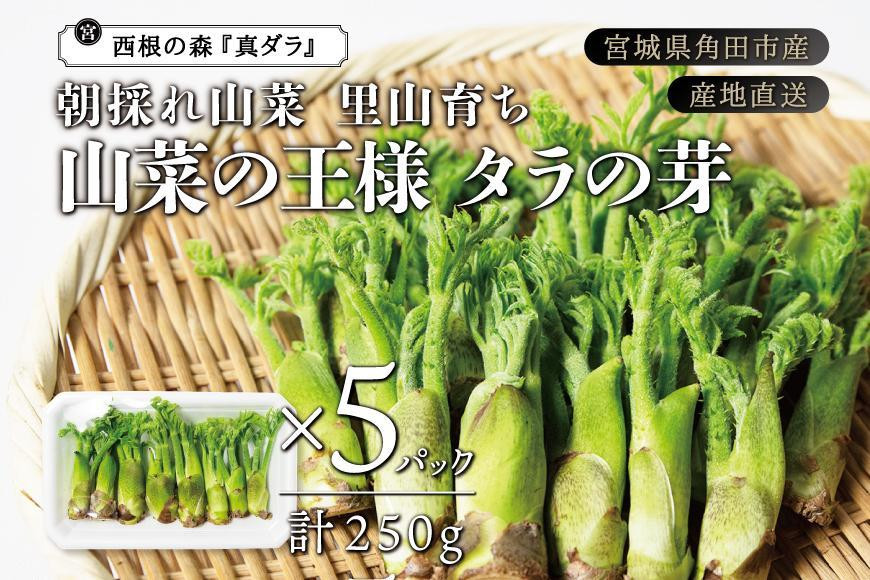 
[宮城県角田市産]産地直送 朝採れ山菜 タラの芽 250g【12月下旬以降順次発送】
