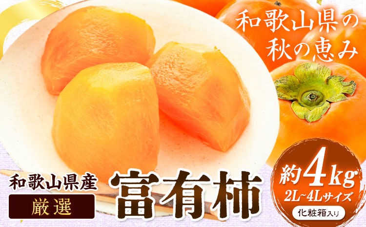 
                  【先行予約】厳選 和歌山産の富有柿 約4kg 2L～4Lサイズ 化粧箱入り 厳選館 《2026年11月中旬-12月上旬頃出荷》和歌山県 日高町 かき 果物 フルーツ 青果
                