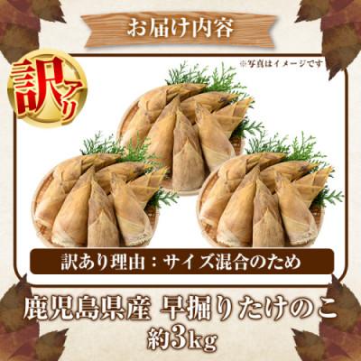 ふるさと納税 阿久根市 訳あり!鹿児島県産 早掘りたけのこ 約3kg 【松永青果】akn053-34 |  | 03