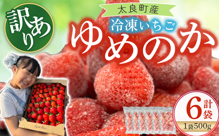 訳あり！太良町産「ゆめのか」冷凍いちご500ｇ×６袋 佐賀県 太良町 OA9