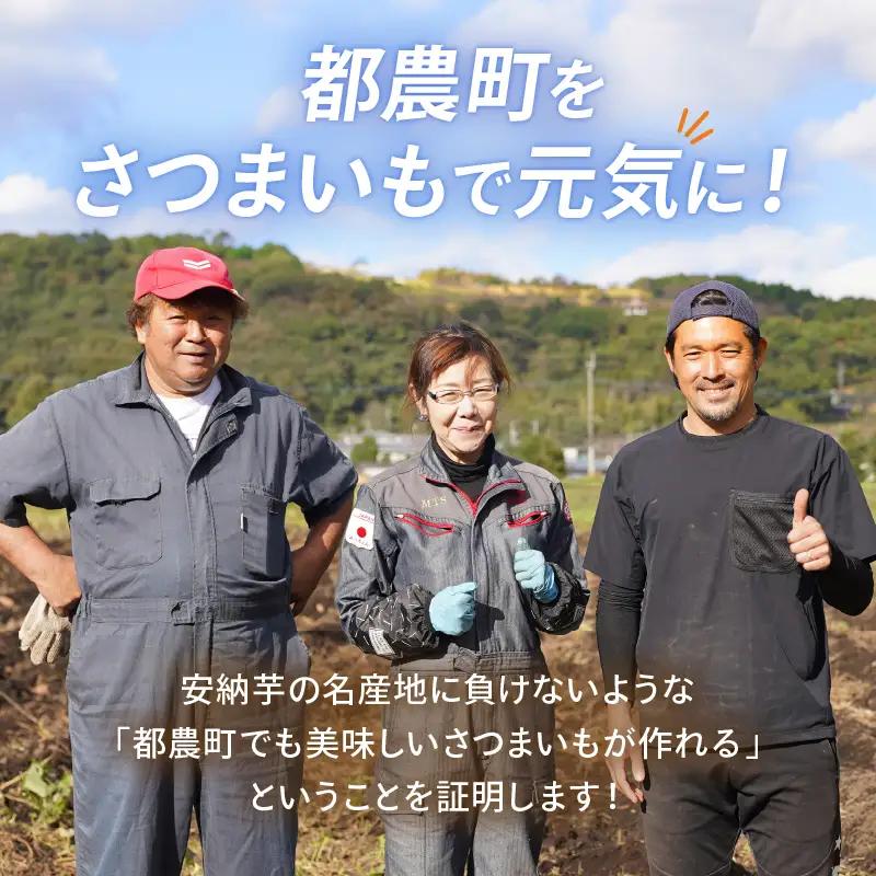 冷やし焼き芋(安納芋・紅はるか) 合計2kg さつまいも イモ 野菜 国産_T016-0055