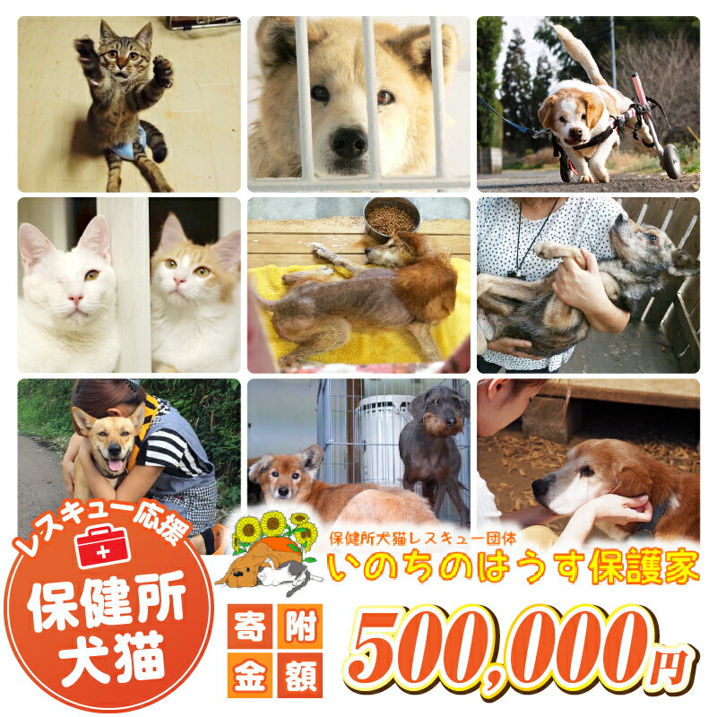 【ふるさと納税】保健所犬猫レスキュー【返礼品なしのご寄附】