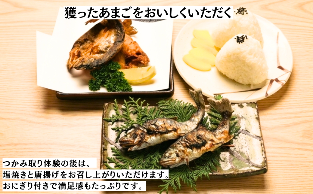 【人気】あまごつかみどり体験チケット　1名様分〈調理込み・おにぎり付き〉家族みんなで笑顔になれる清流体験 子ども主役の夏休みアクティビティ 魚つかみ取り 兵庫県丹波市